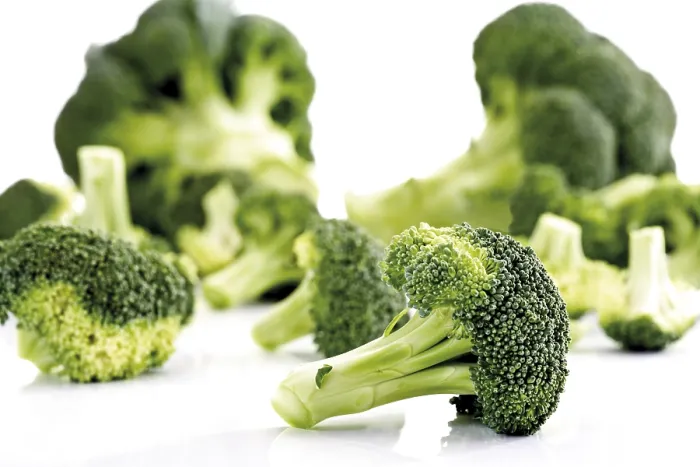 Gerahmter Druck : Broccoli Gerahmter Druck : Broccoli