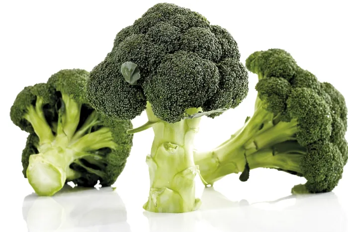 Gerahmter Druck : Broccoli Gerahmter Druck : Broccoli