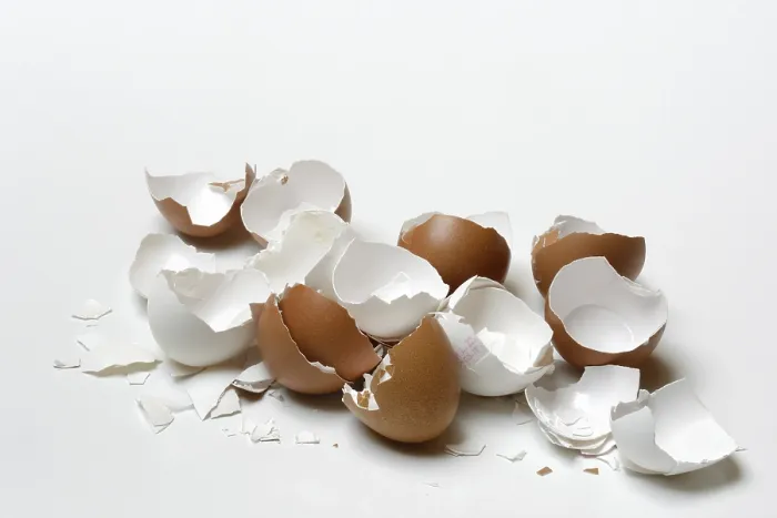 Gerahmter Druck : Zersprungene Eierschalen. Gerahmter Druck : Zersprungene Eierschalen.