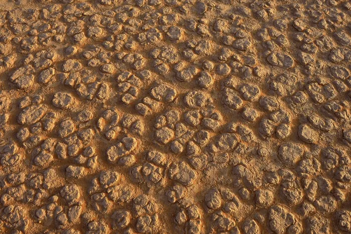 Gerahmter Druck : Gebrochene Oberfläche eines Salz- und Tonpans oder einer Playa. Gerahmter Druck : Gebrochene Oberfläche eines Salz- und Tonpans oder einer Playa.