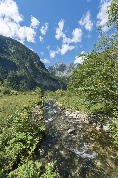 Gerahmter Druck : Bach vor dem Watzmannmassiv Gerahmter Druck : Bach vor dem Watzmannmassiv