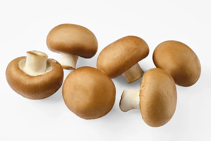 Gerahmter Druck : Brauner Hut ganze Champignons Gerahmter Druck : Brauner Hut ganze Champignons