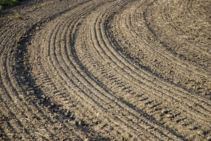 Gerahmter Druck : Braunes Feld mit parallelem Muster. Gerahmter Druck : Braunes Feld mit parallelem Muster.