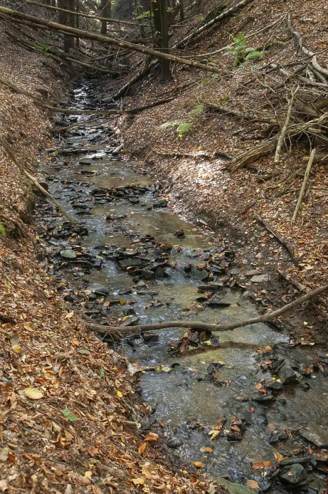 Gerahmter Druck : Buchenberg, Deutschland, Greiz, Thüringen Gerahmter Druck : Buchenberg, Deutschland, Greiz, Thüringen