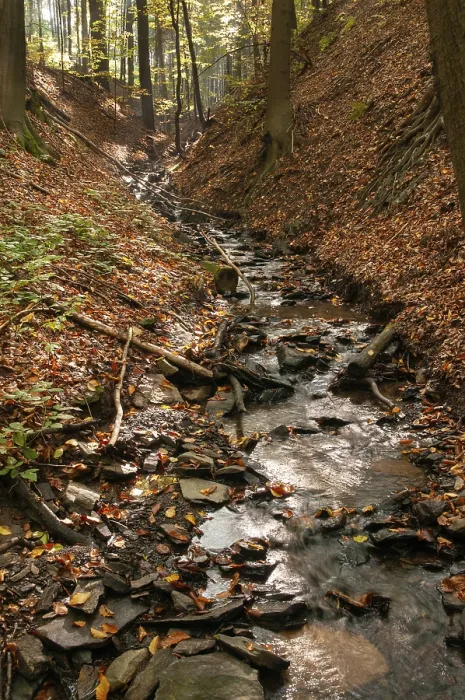 Gerahmter Druck : Buchenberg, Deutschland, Greiz, Thüringen Gerahmter Druck : Buchenberg, Deutschland, Greiz, Thüringen