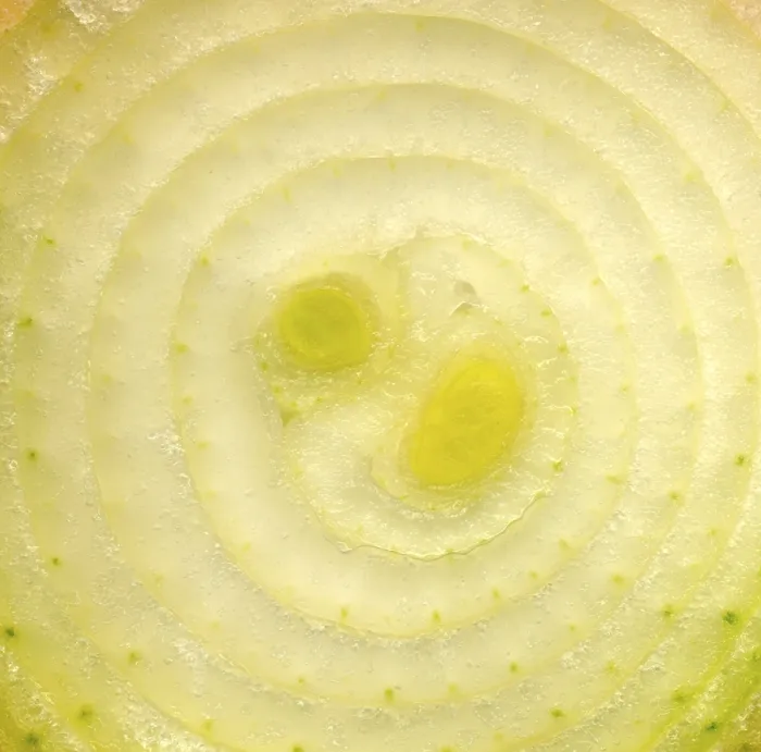Gerahmter Druck : Knoblauch, Zwiebel Gerahmter Druck : Knoblauch, Zwiebel