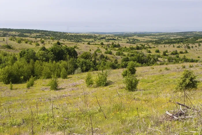 Gerahmter Druck : Bulgarien, Länder, Landschaft Gerahmter Druck : Bulgarien, Länder, Landschaft