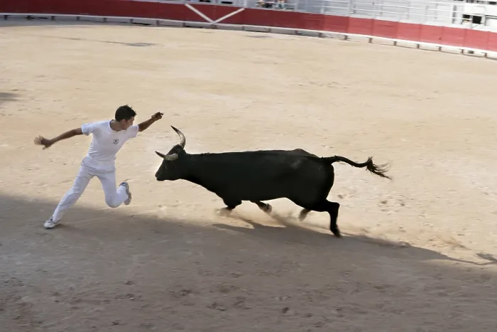Gerahmter Druck : Stierkampf in Spanien Gerahmter Druck : Stierkampf in Spanien