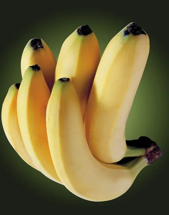 Gerahmter Druck : Banane-Bündel Gerahmter Druck : Banane-Bündel