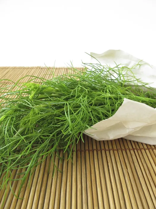 Gerahmter Druck : Ein Bündel Dill. Gerahmter Druck : Ein Bündel Dill.