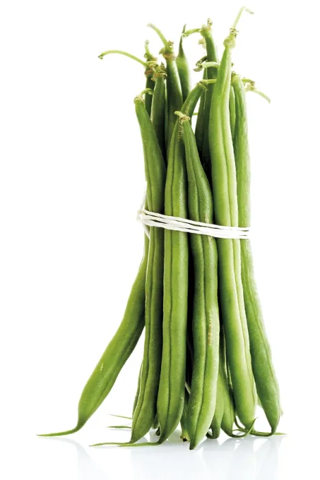 Gerahmter Druck : Bündel grüner Bohnen (Phaseolus) Gerahmter Druck : Bündel grüner Bohnen (Phaseolus)
