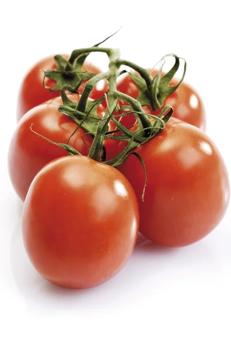 Gerahmter Druck : Tomatenbündel Gerahmter Druck : Tomatenbündel