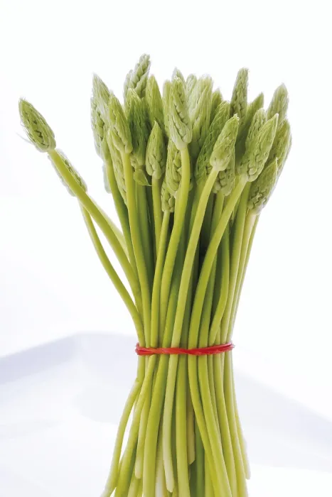 Gerahmter Druck : Ein Bündel Wildspargel. Gerahmter Druck : Ein Bündel Wildspargel.