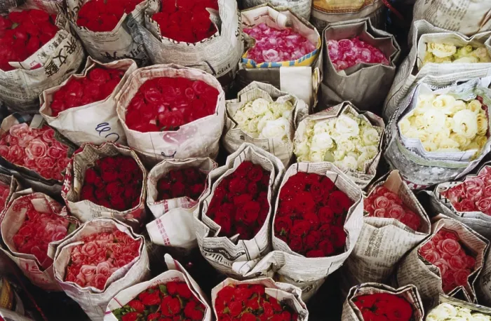 Gerahmter Druck : Sträuße Rosen Gerahmter Druck : Sträuße Rosen