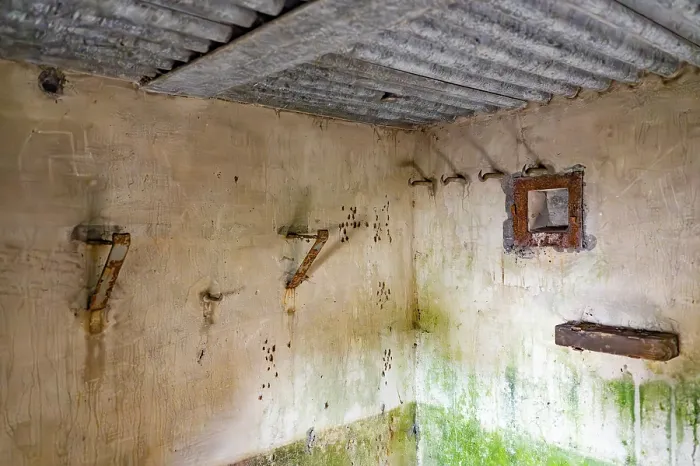 Gerahmter Druck : Bunker von innen, Bunker Cheneux Gerahmter Druck : Bunker von innen, Bunker Cheneux