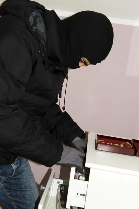 Gerahmter Druck : Burglar Gerahmter Druck : Burglar