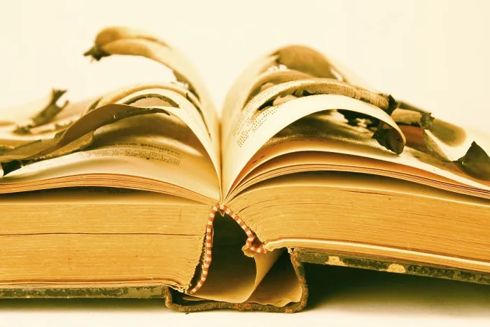 Gerahmter Druck : Ein altes Buch verbrennen. Gerahmter Druck : Ein altes Buch verbrennen.