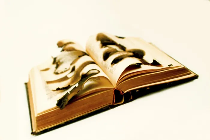 Gerahmter Druck : Brennender alter Buch Gerahmter Druck : Brennender alter Buch