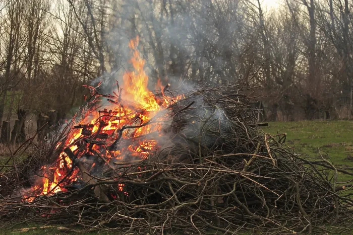 Gerahmter Druck : Easterfeuerholz Gerahmter Druck : Easterfeuerholz