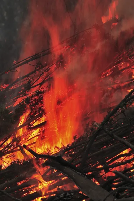 Gerahmter Druck : Brennholz eines Ostfeuers. Gerahmter Druck : Brennholz eines Ostfeuers.