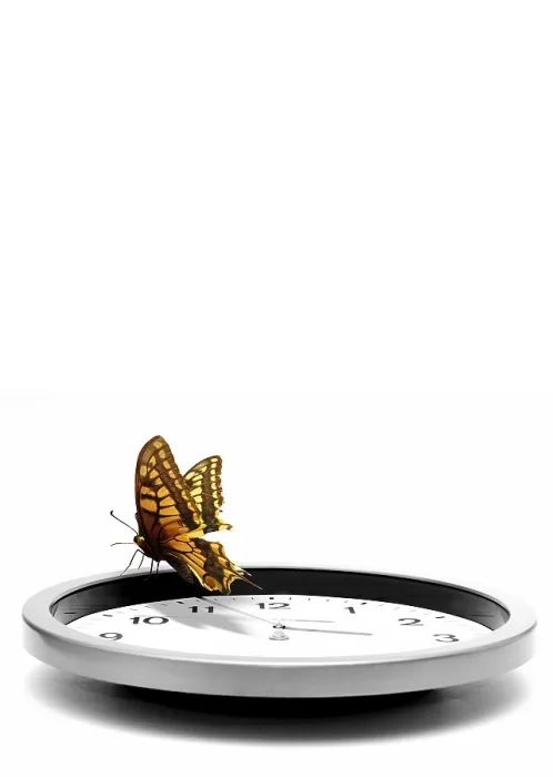 Gerahmter Druck : Schmetterling auf einem Uhrenzeiger. Gerahmter Druck : Schmetterling auf einem Uhrenzeiger.