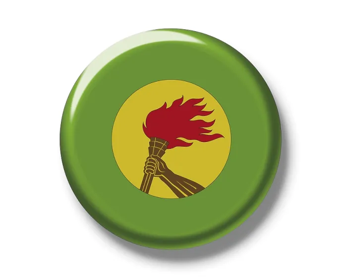 Gerahmter Druck : Buttonabzeichen, Flagge, Zaire Gerahmter Druck : Buttonabzeichen, Flagge, Zaire