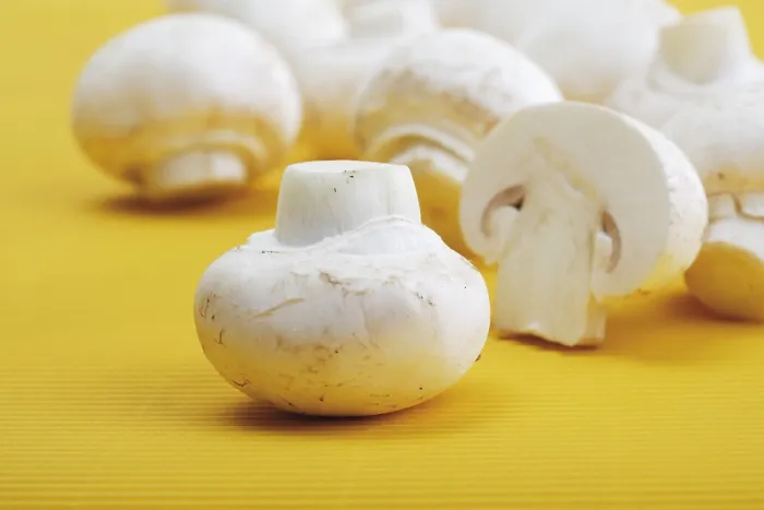 Gerahmter Druck : Pilzknöpfe, Champignons (Agaricus)