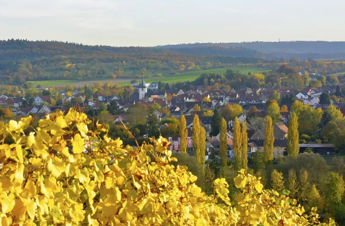 Gerahmter Druck : BW. Weingut Kurnbach, Pfad Gerahmter Druck : BW. Weingut Kurnbach, Pfad