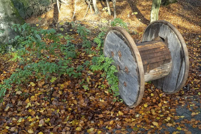 Gerahmter Druck : Gerahmter Druck :