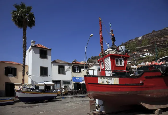 Gerahmter Druck : Camara de Lobos, am Hafen. Gerahmter Druck : Camara de Lobos, am Hafen.