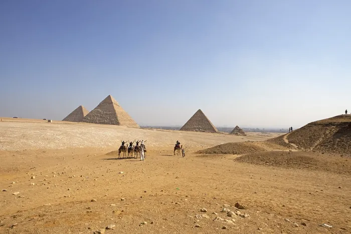 Gerahmter Druck : Reiten auf einem Kamel an der westlichen Seite der Pyramiden. Gerahmter Druck : Reiten auf einem Kamel an der westlichen Seite der Pyramiden.
