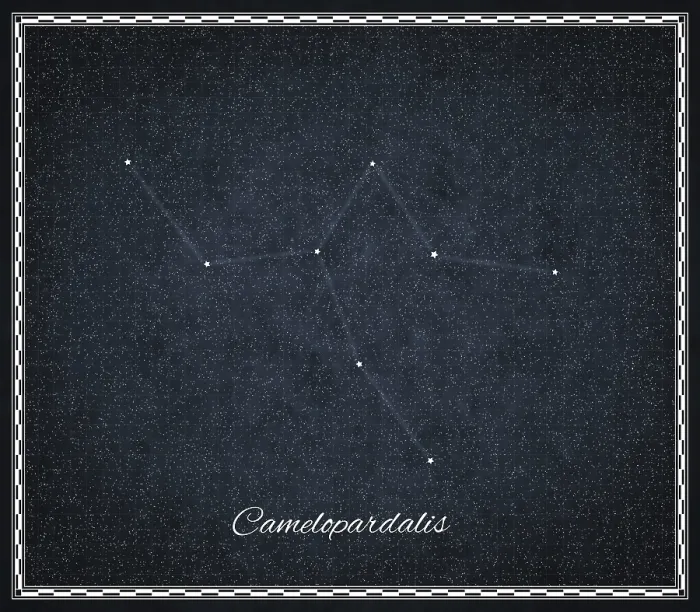 Gerahmter Druck : Kamelopardal-Konstellation Gerahmter Druck : Kamelopardal-Konstellation