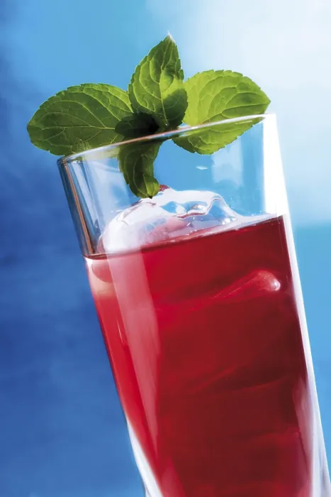 Gerahmter Druck : Campari auf Eis. Gerahmter Druck : Campari auf Eis.