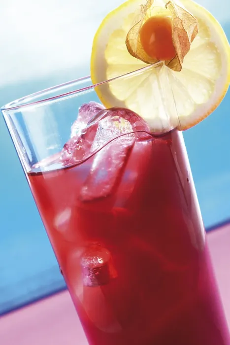 Gerahmter Druck : Campari auf Eis. Gerahmter Druck : Campari auf Eis.