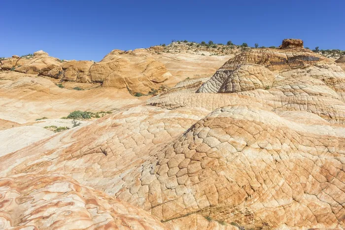 Gerahmter Druck : Candy Cliffs, Felsformationen, Washington Gerahmter Druck : Candy Cliffs, Felsformationen, Washington