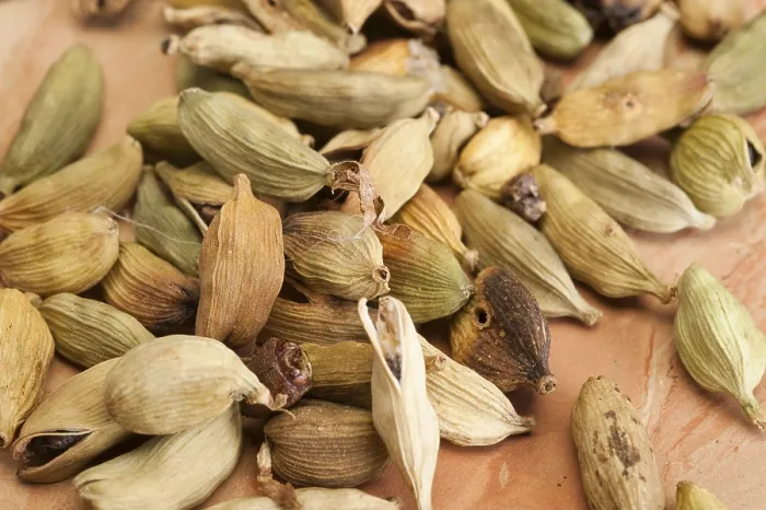 Gerahmter Druck : Cardamom Gerahmter Druck : Cardamom