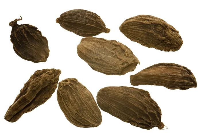 Gerahmter Druck : Cardamom Gerahmter Druck : Cardamom