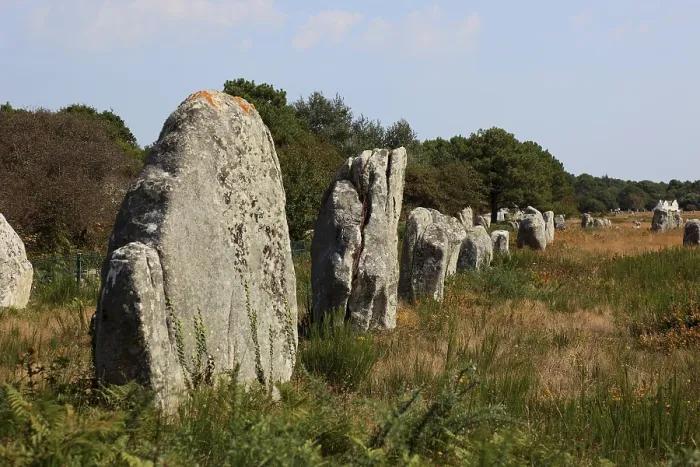 Gerahmter Druck : Carnac, stehende Menhire, Steinreihen. Gerahmter Druck : Carnac, stehende Menhire, Steinreihen.