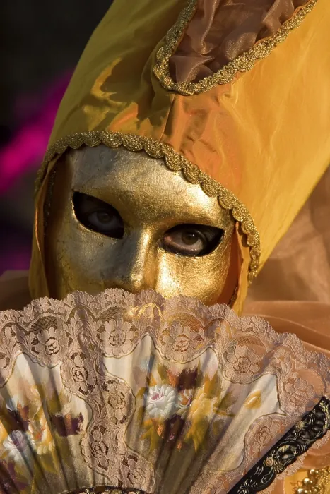 Gerahmter Druck : Karneval in Venedig Gerahmter Druck : Karneval in Venedig
