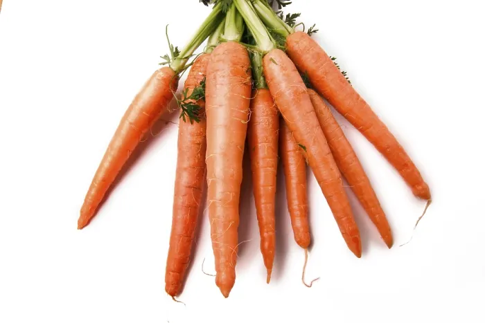Gerahmter Druck : Carrots Gerahmter Druck : Carrots
