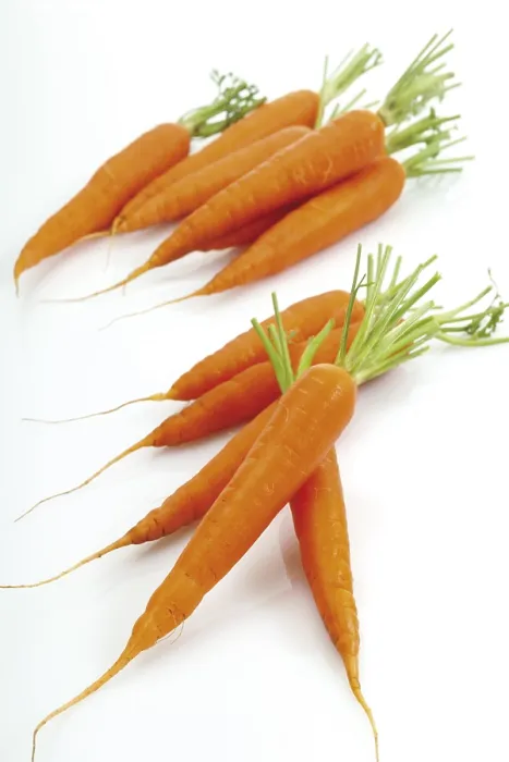Gerahmter Druck : Carrots Gerahmter Druck : Carrots
