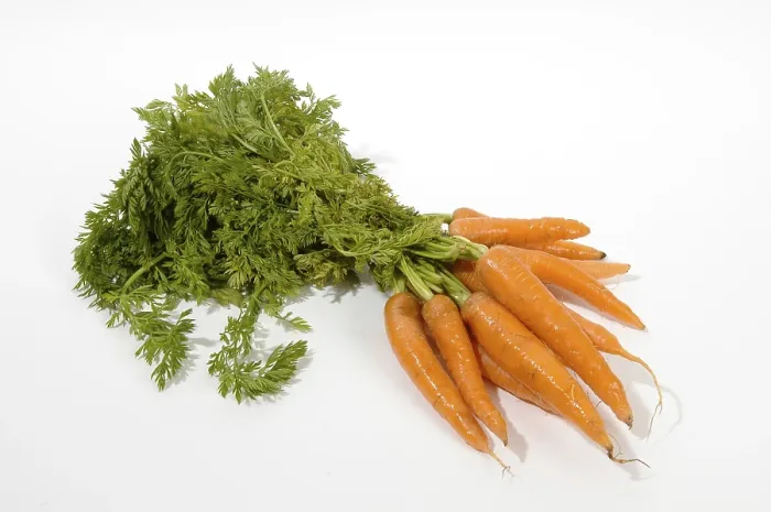 Gerahmter Druck : Carrots Gerahmter Druck : Carrots