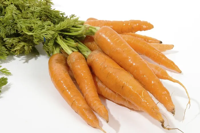 Gerahmter Druck : Carrots Gerahmter Druck : Carrots