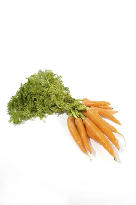 Gerahmter Druck : Carrots Gerahmter Druck : Carrots