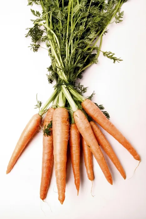 Gerahmter Druck : Carrots Gerahmter Druck : Carrots