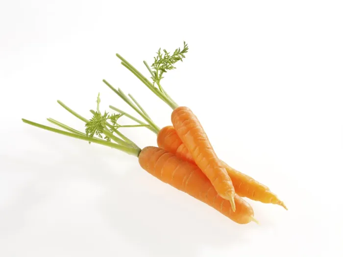 Gerahmter Druck : Carrots Gerahmter Druck : Carrots