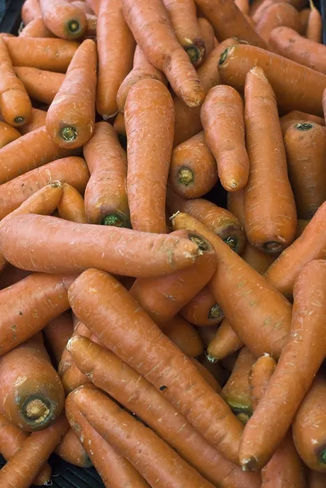Gerahmter Druck : Carrots Gerahmter Druck : Carrots