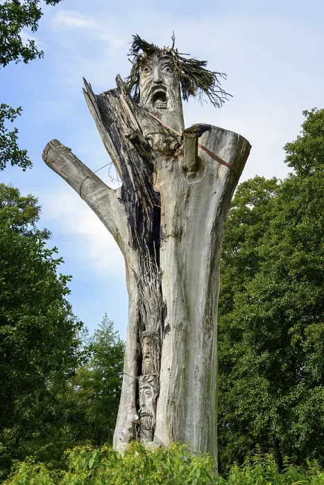 Gerahmter Druck : Geschnitzte Gesichter auf totem Baumstamm.