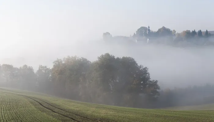 Gerahmter Druck : Caselwitz, Deutschland, Greiz, Thüringen Gerahmter Druck : Caselwitz, Deutschland, Greiz, Thüringen