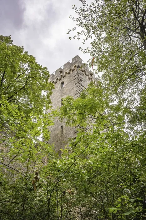 Gerahmter Druck : Schlossturm im Wald, Weiler. Gerahmter Druck : Schlossturm im Wald, Weiler.
